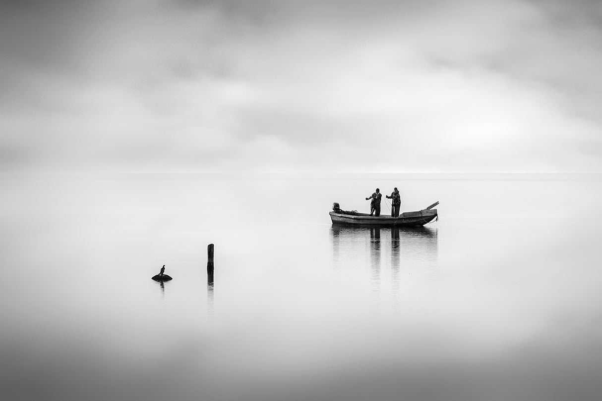 Fishermen and the Curious Bird II Poster och Canvastavla