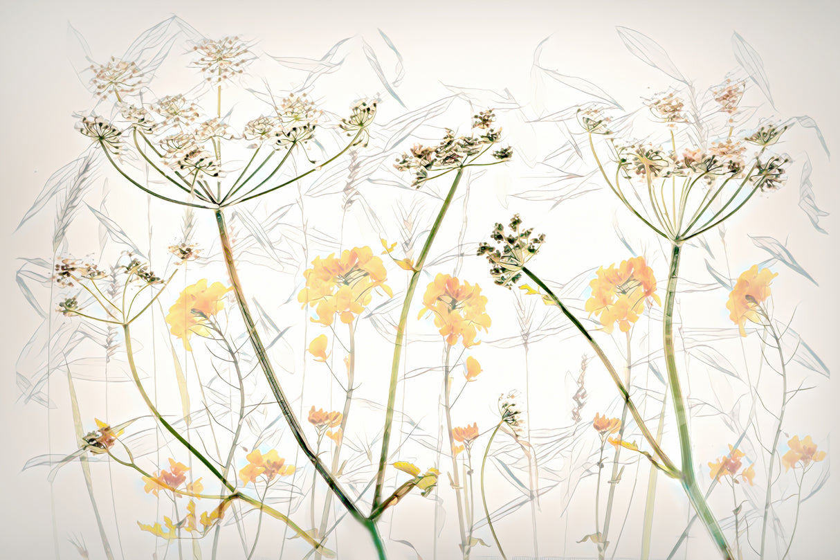 Spring flower Art Poster och Canvastavla