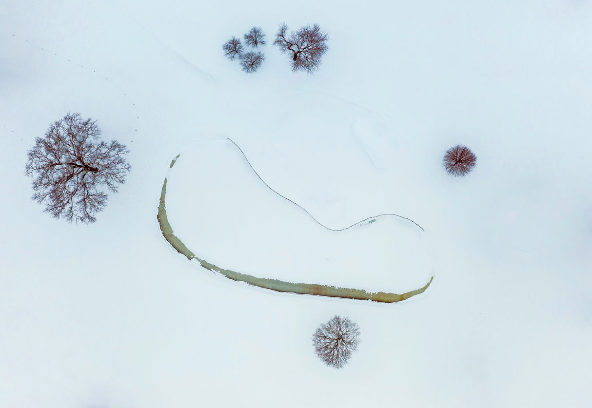 Guardians of a Winter pond Poster och Canvastavla