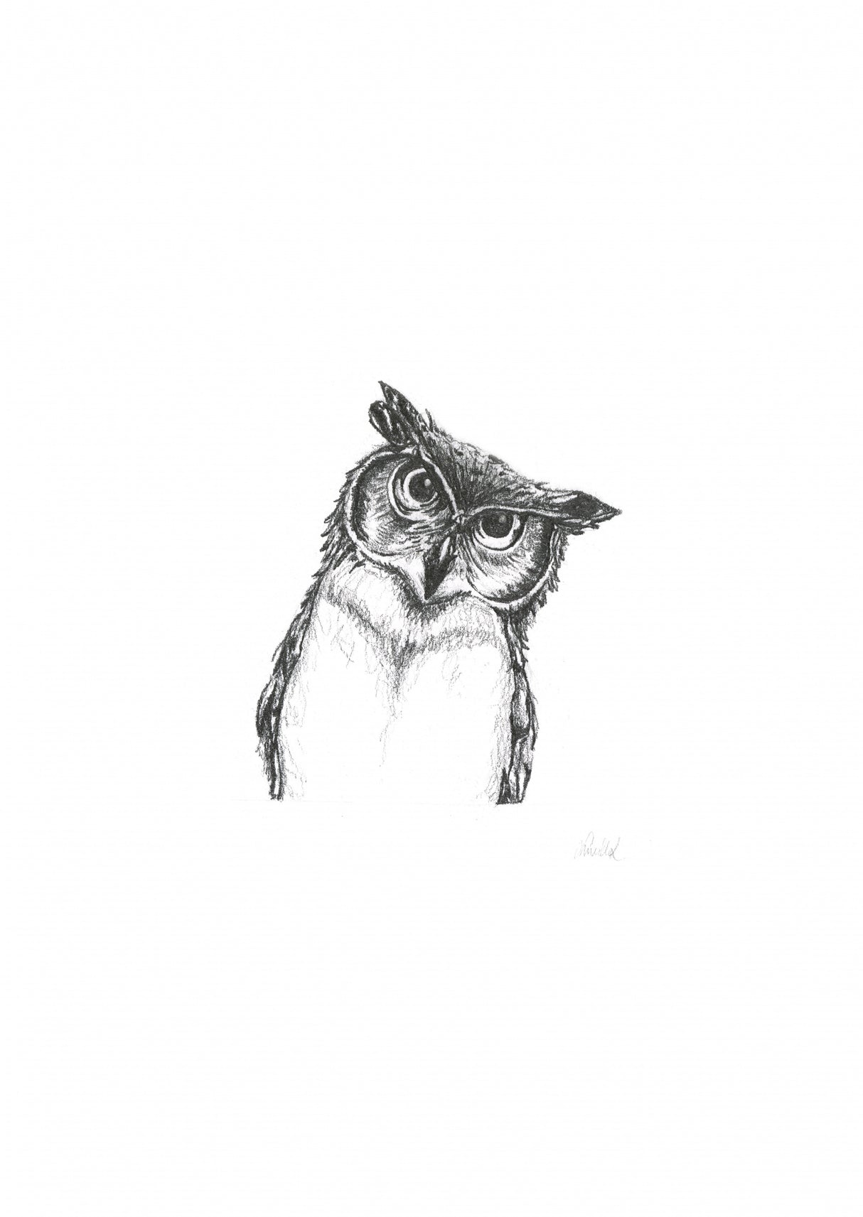 Owlet Poster och Canvastavla