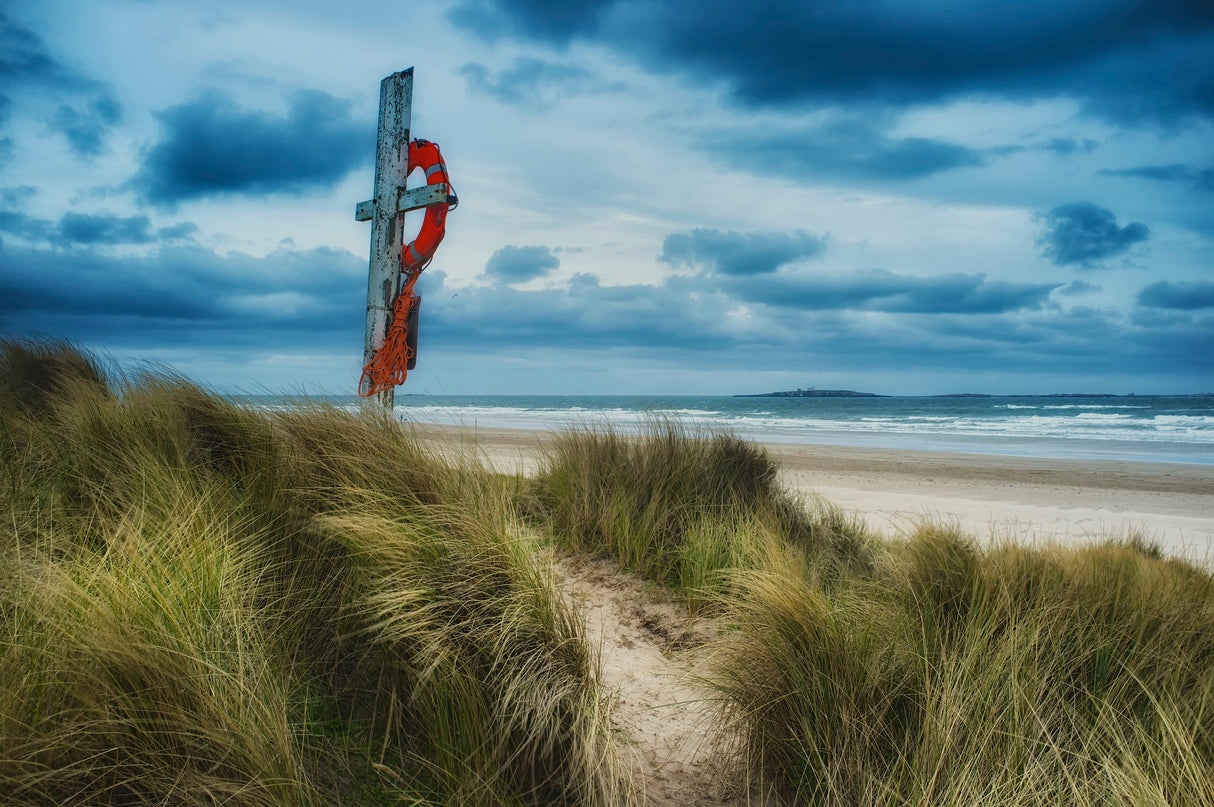The lifesaver Poster och Canvastavla