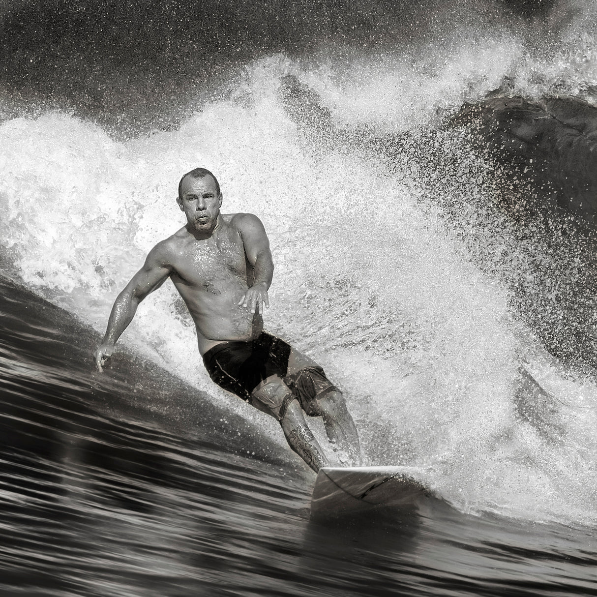 Surf Poster och Canvastavla