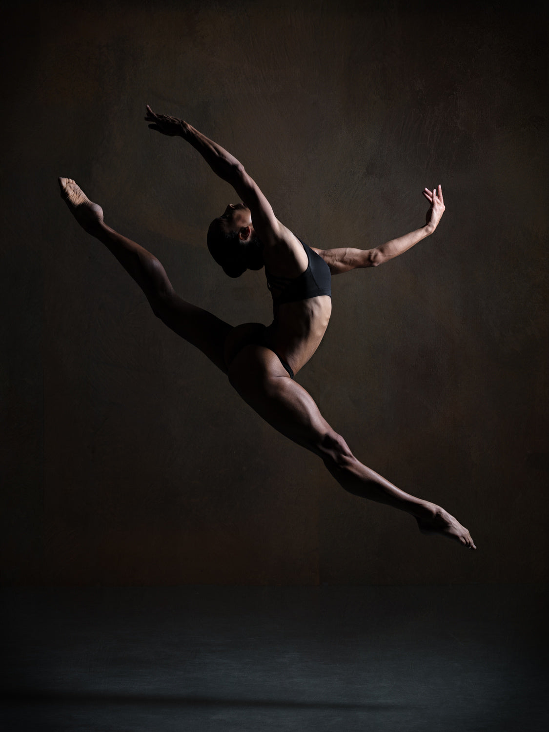 Elegance in the Dark Poster och Canvastavla