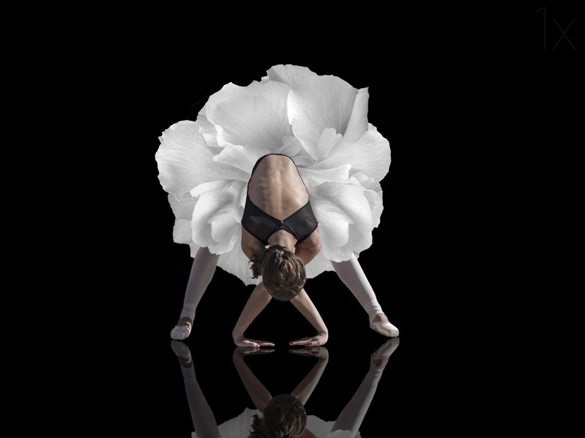 Dance Poster och Canvastavla