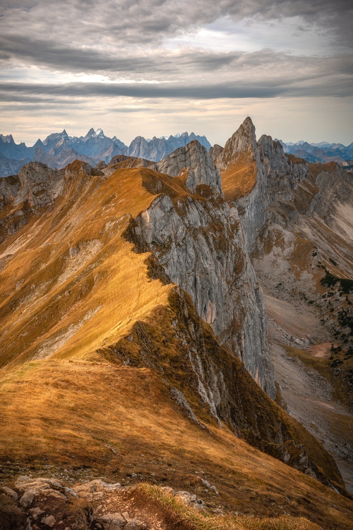 Hust some peaks..... Poster och Canvastavla