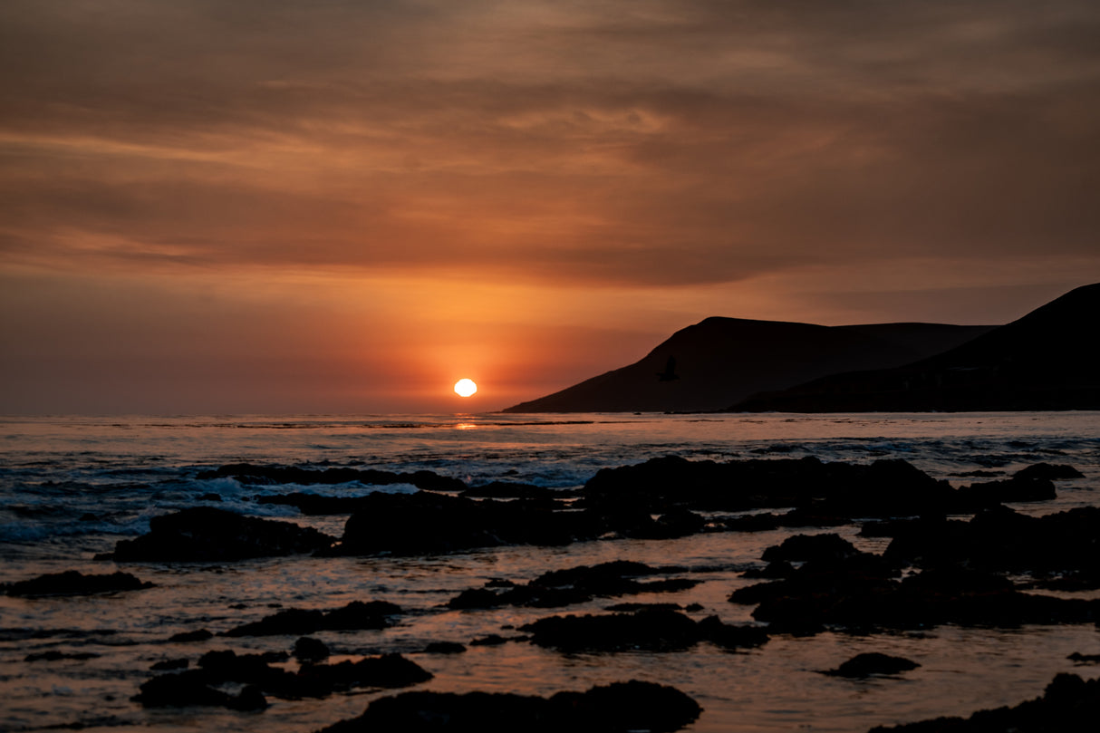 Orange Sunset Poster och Canvastavla
