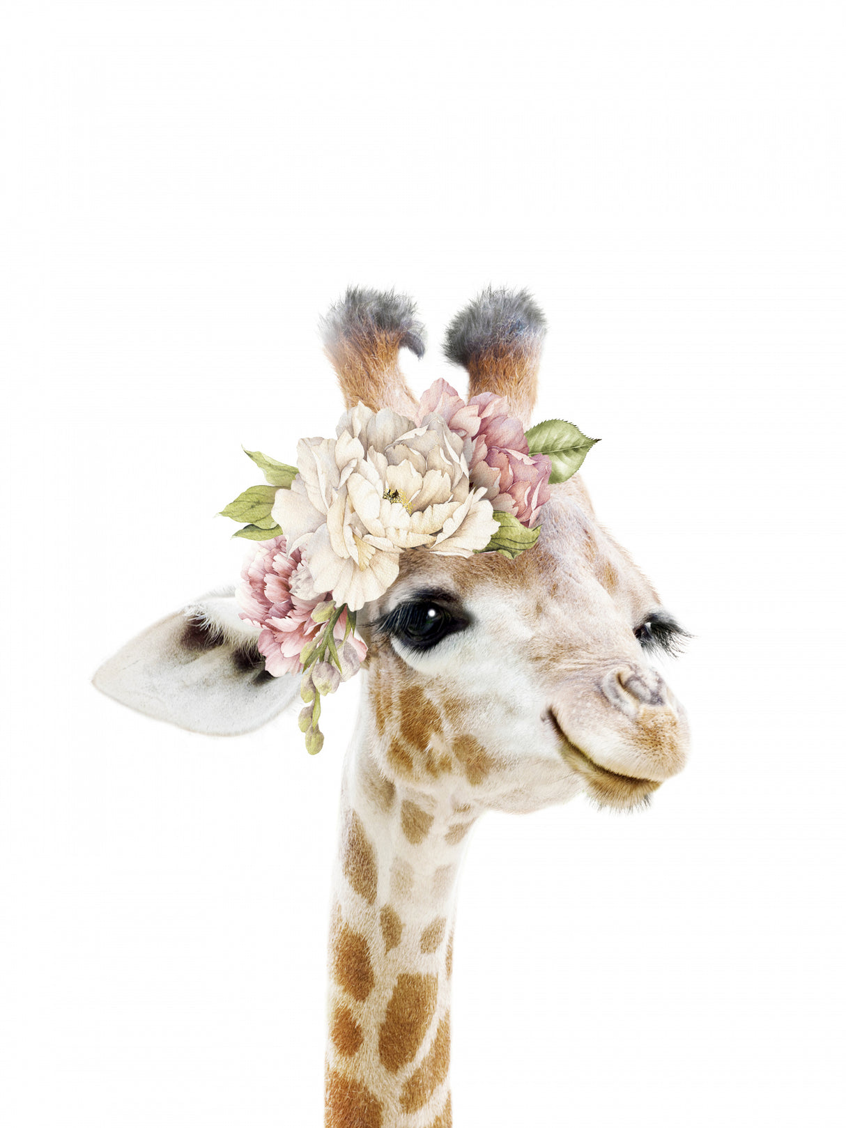 Floral Baby Giraffe Poster och Canvastavla