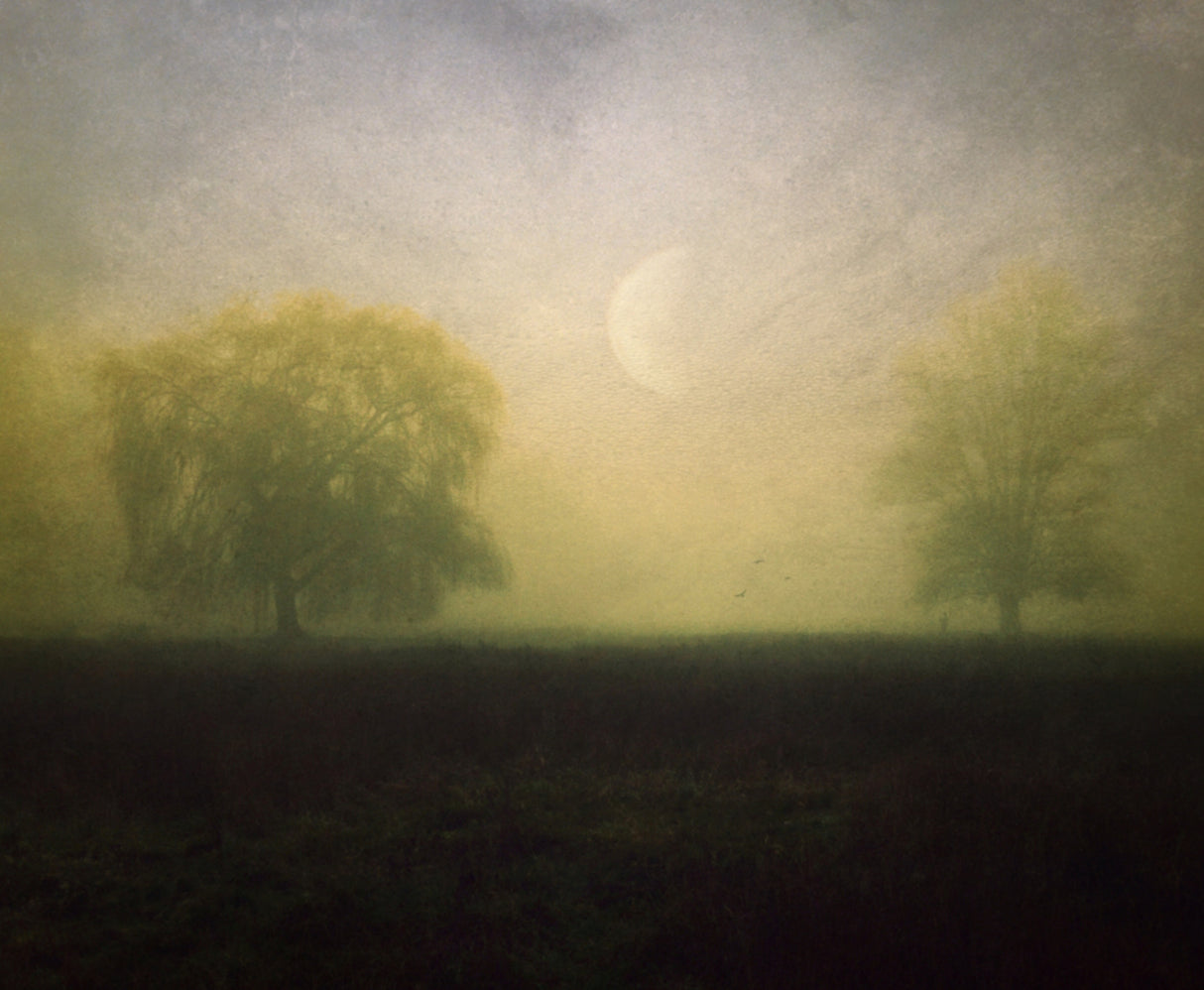 Some Days... Poster och Canvastavla