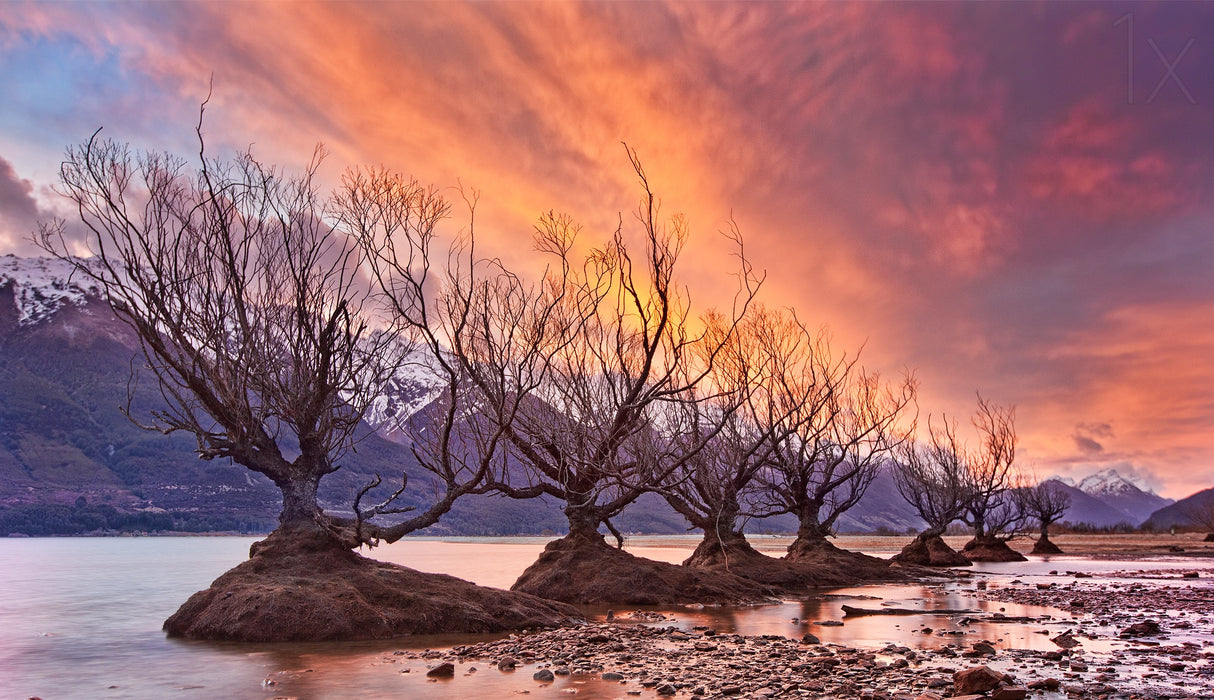 Glenorchy on Fire Poster och Canvastavla