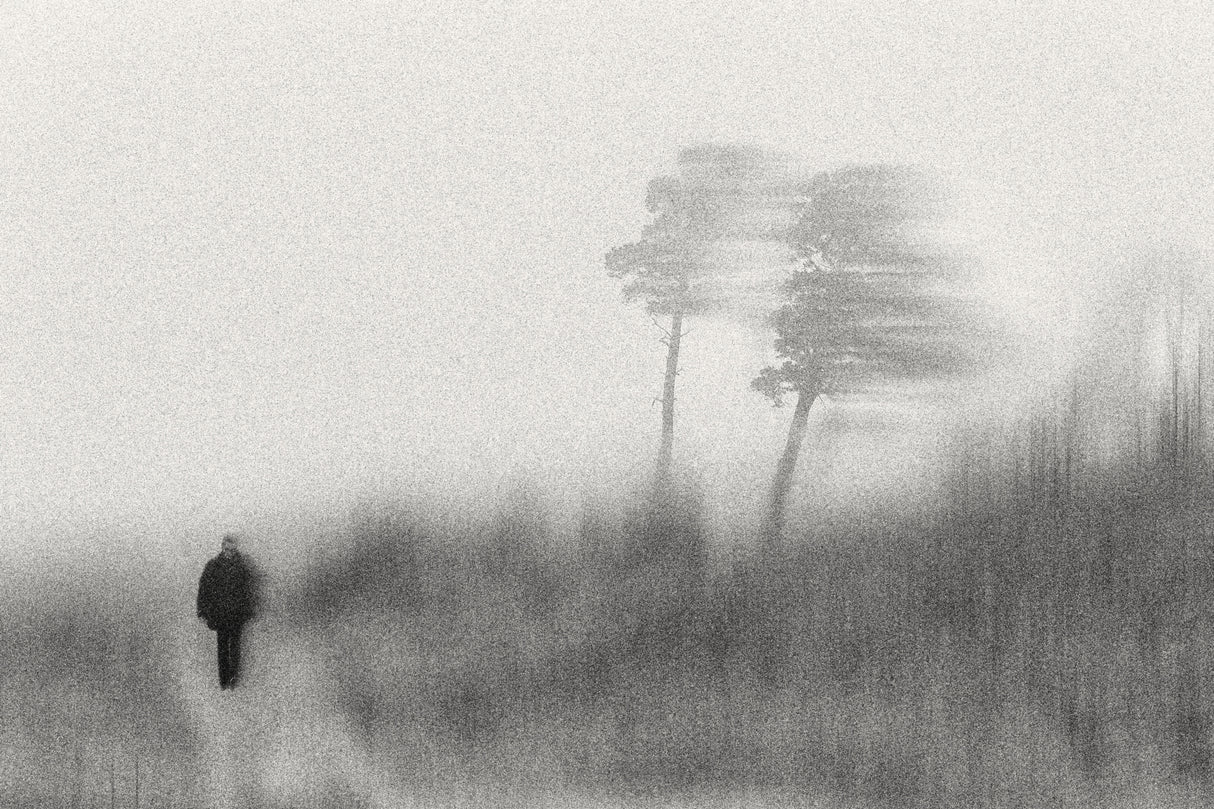 In the wind Poster och Canvastavla