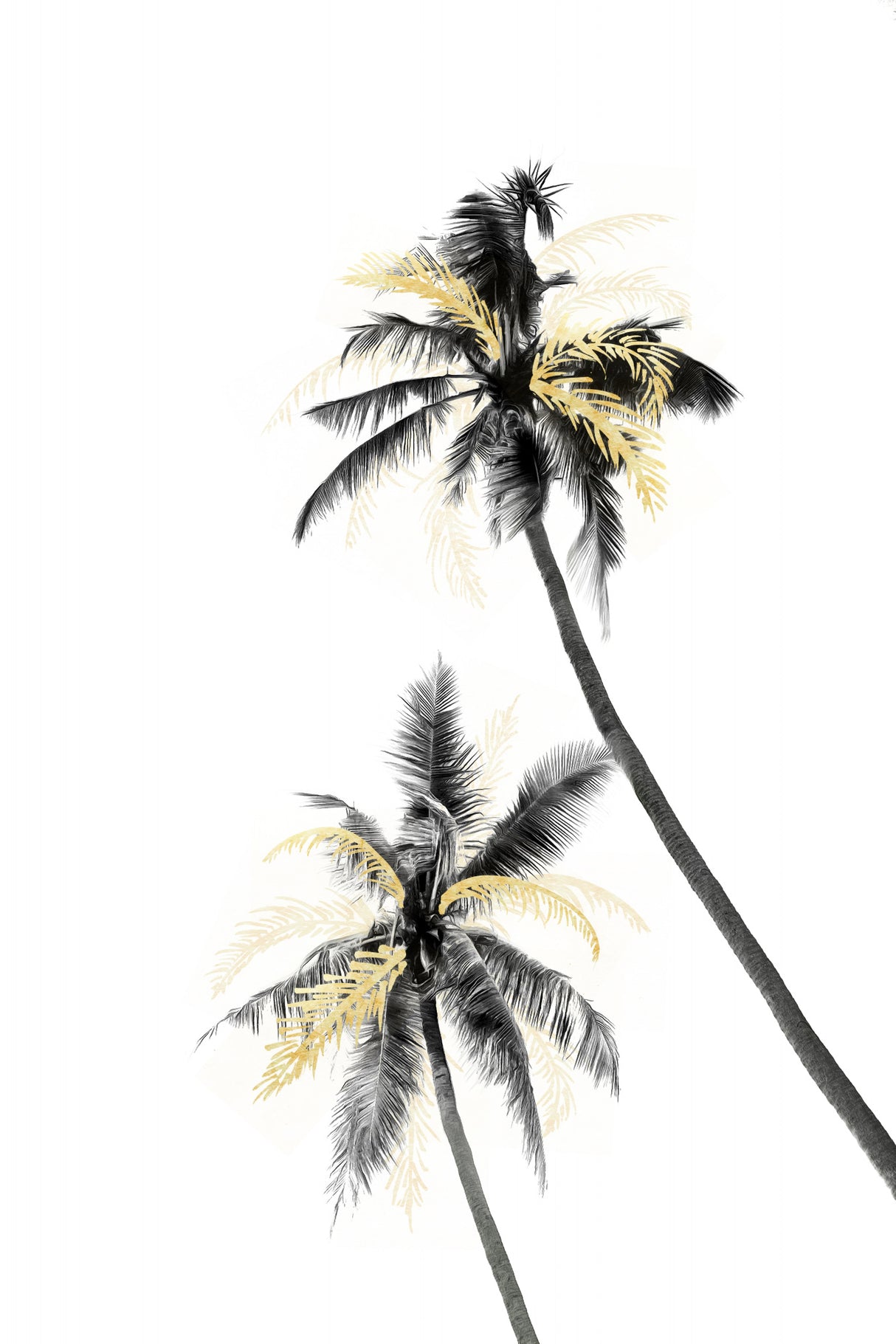 Palm Tree Black, White and Gold 02 Poster och Canvastavla