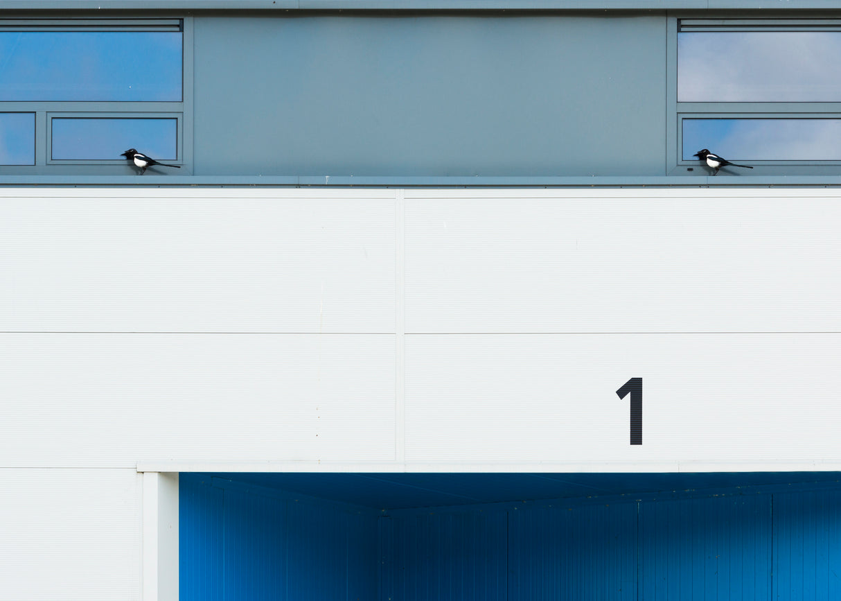 One Poster och Canvastavla