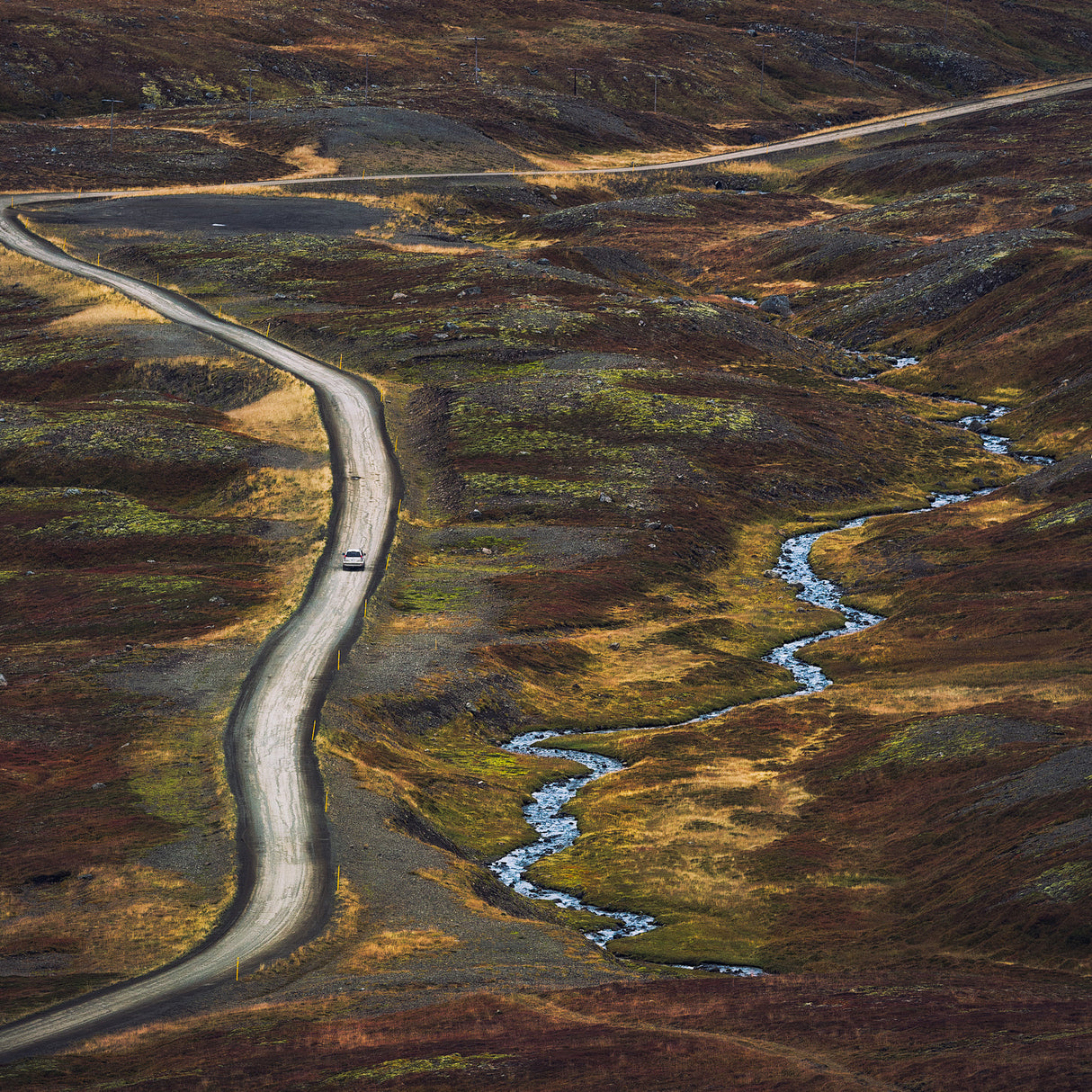 passing through autumns Poster och Canvastavla