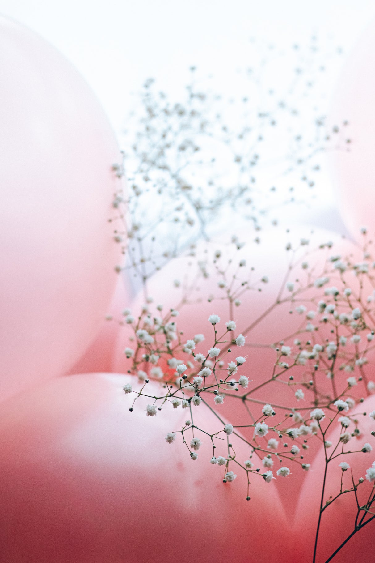 Blooms and Balloons - Moment like this Poster och Canvastavla