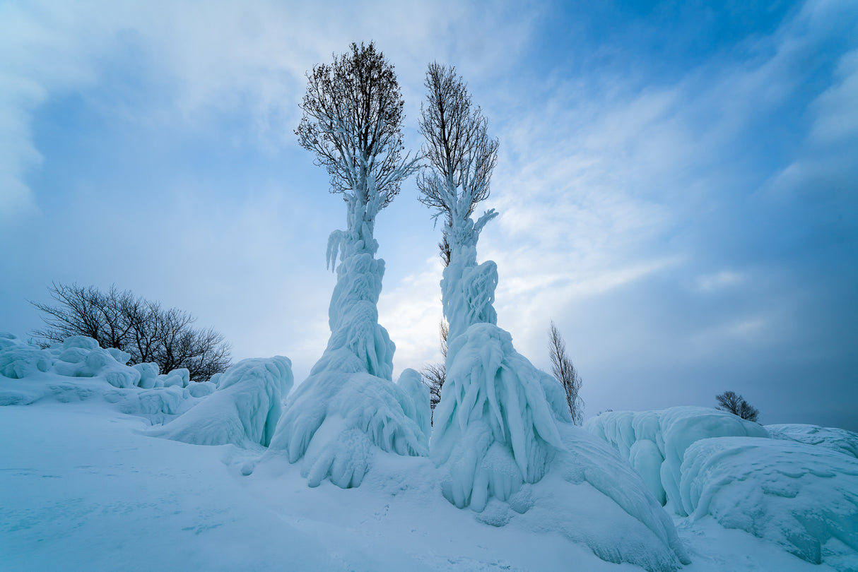 Warmth in the Cold Poster och Canvastavla