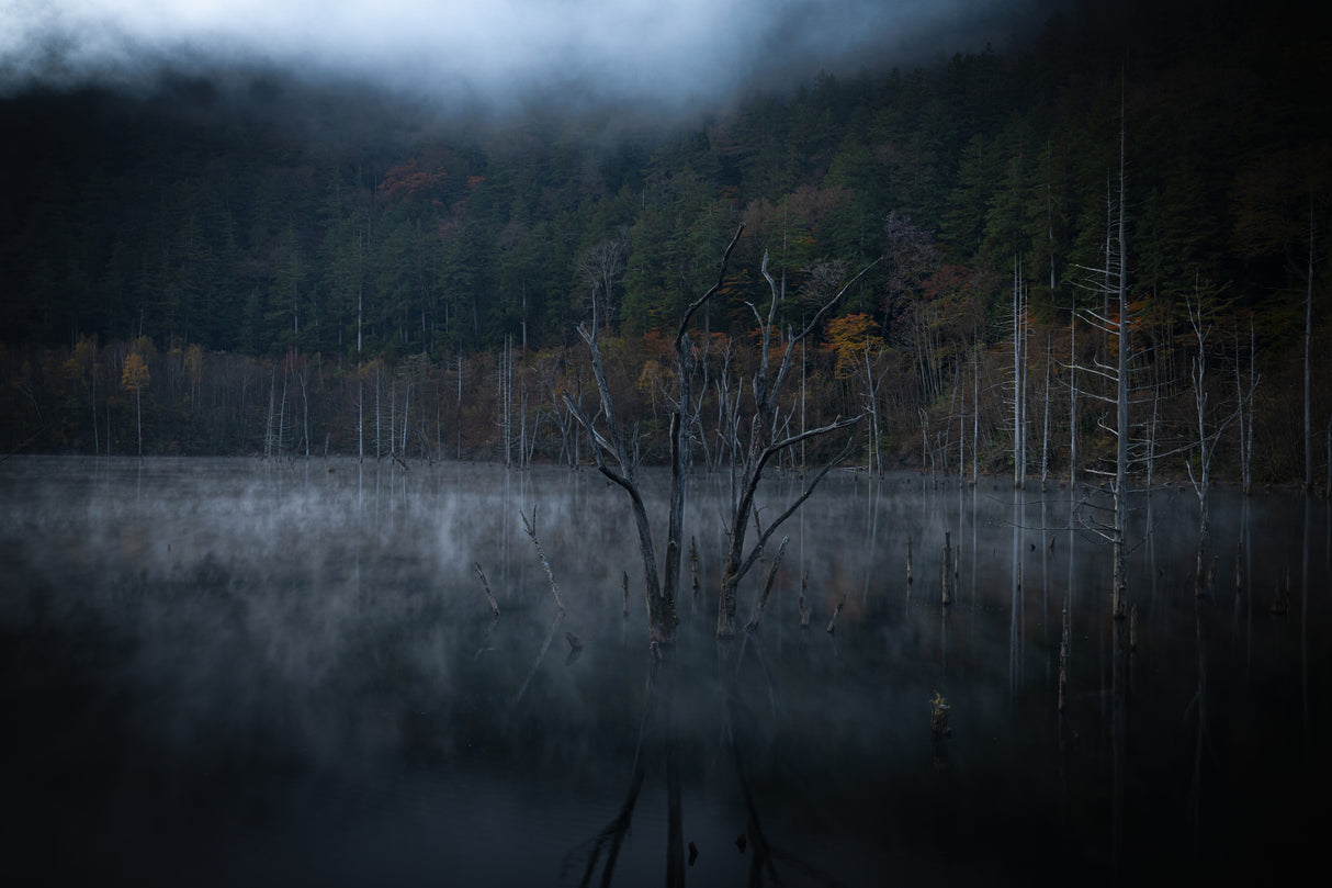 From autumn to winter Poster och Canvastavla