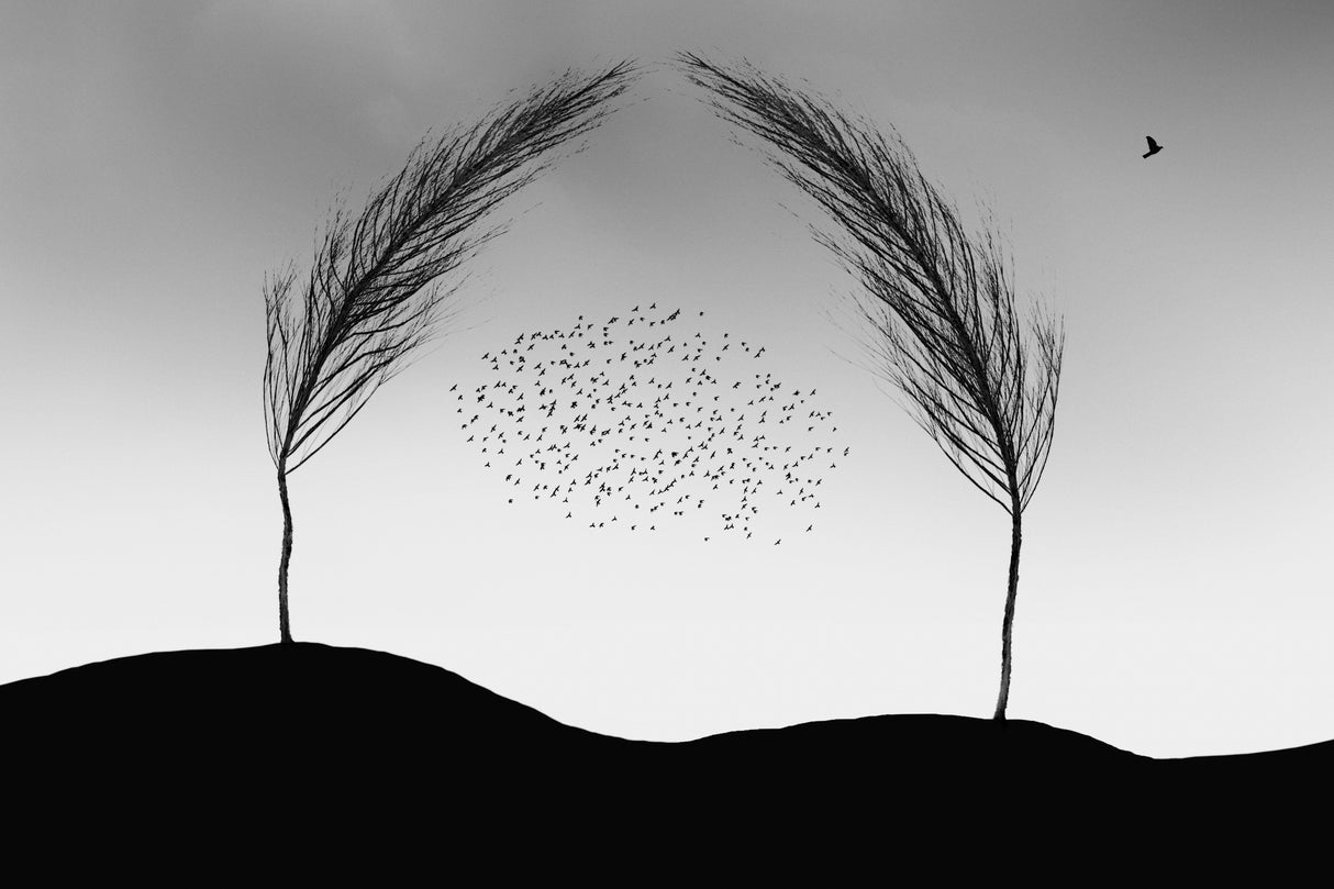 a new beginning Poster och Canvastavla