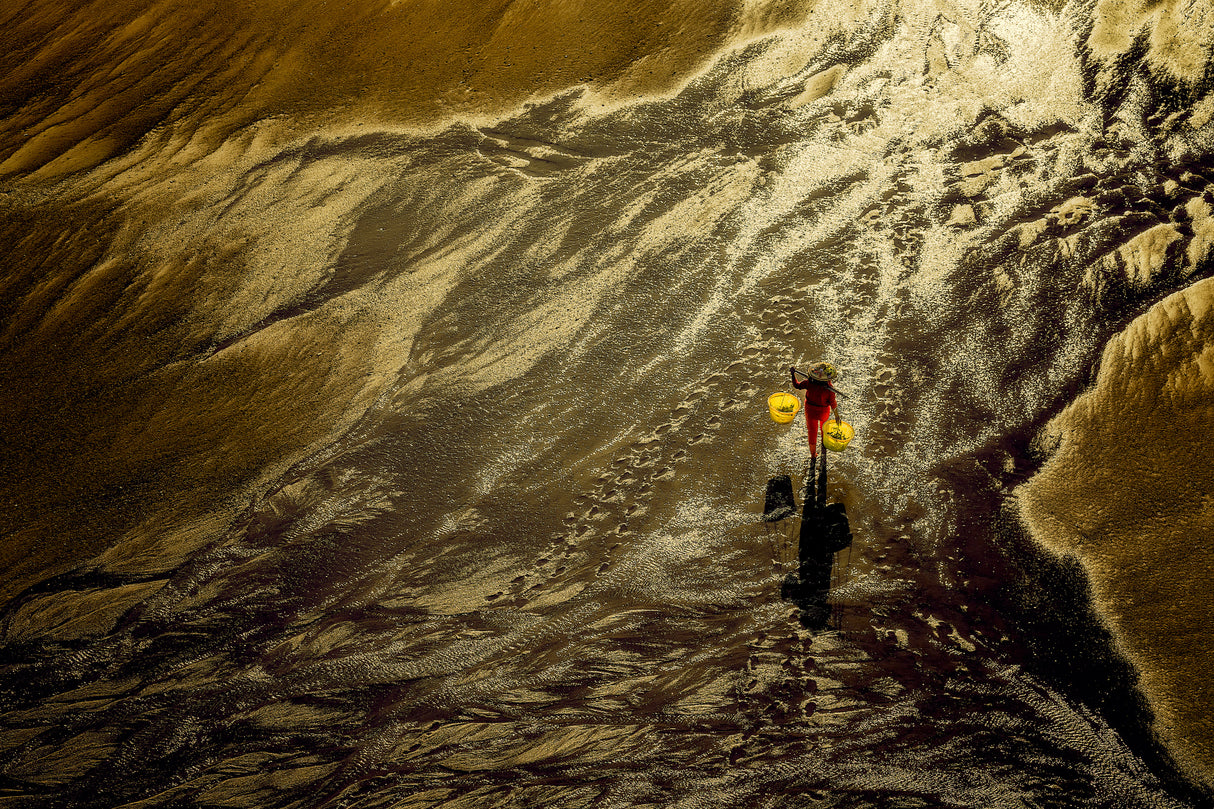 Xiapu Mudflat Poster och Canvastavla