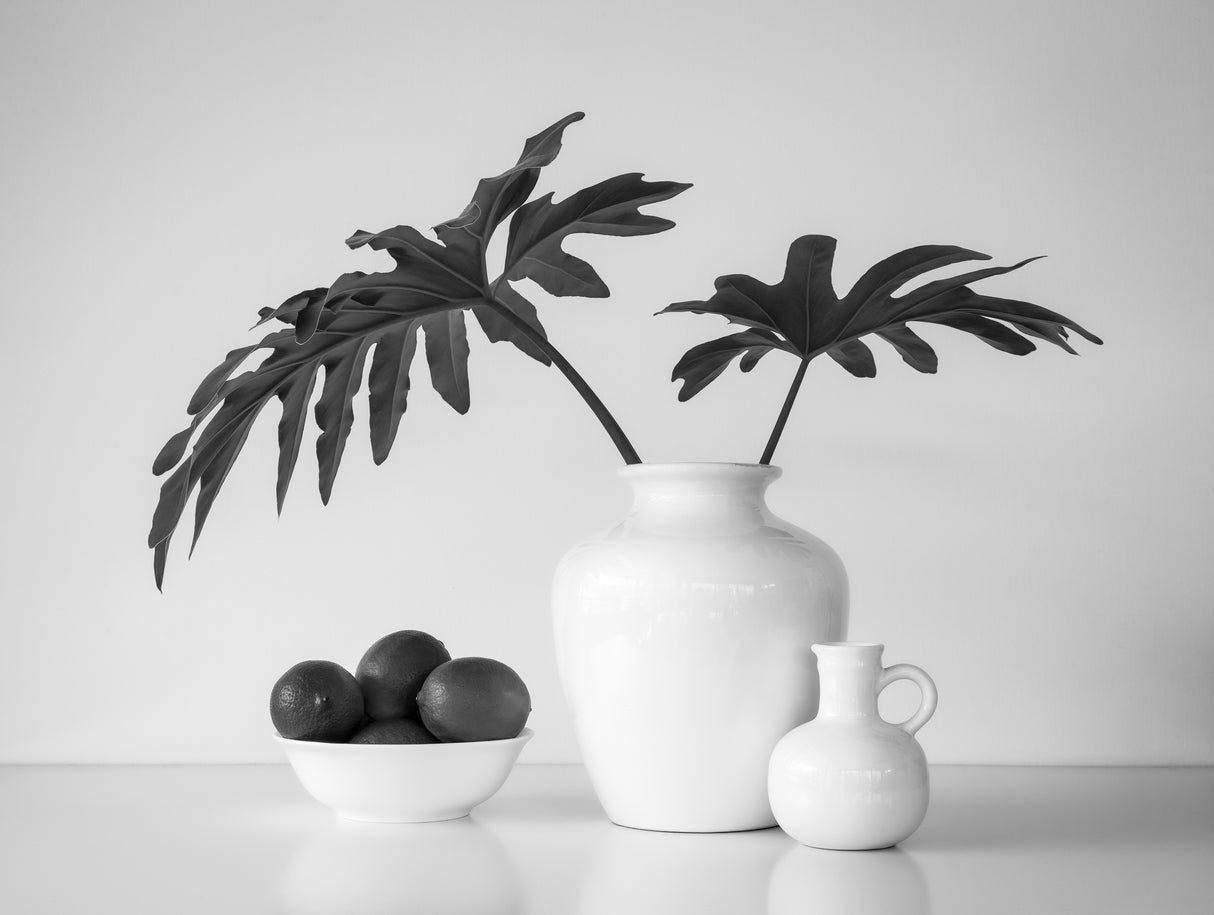 Tropical Leaves Poster och Canvastavla