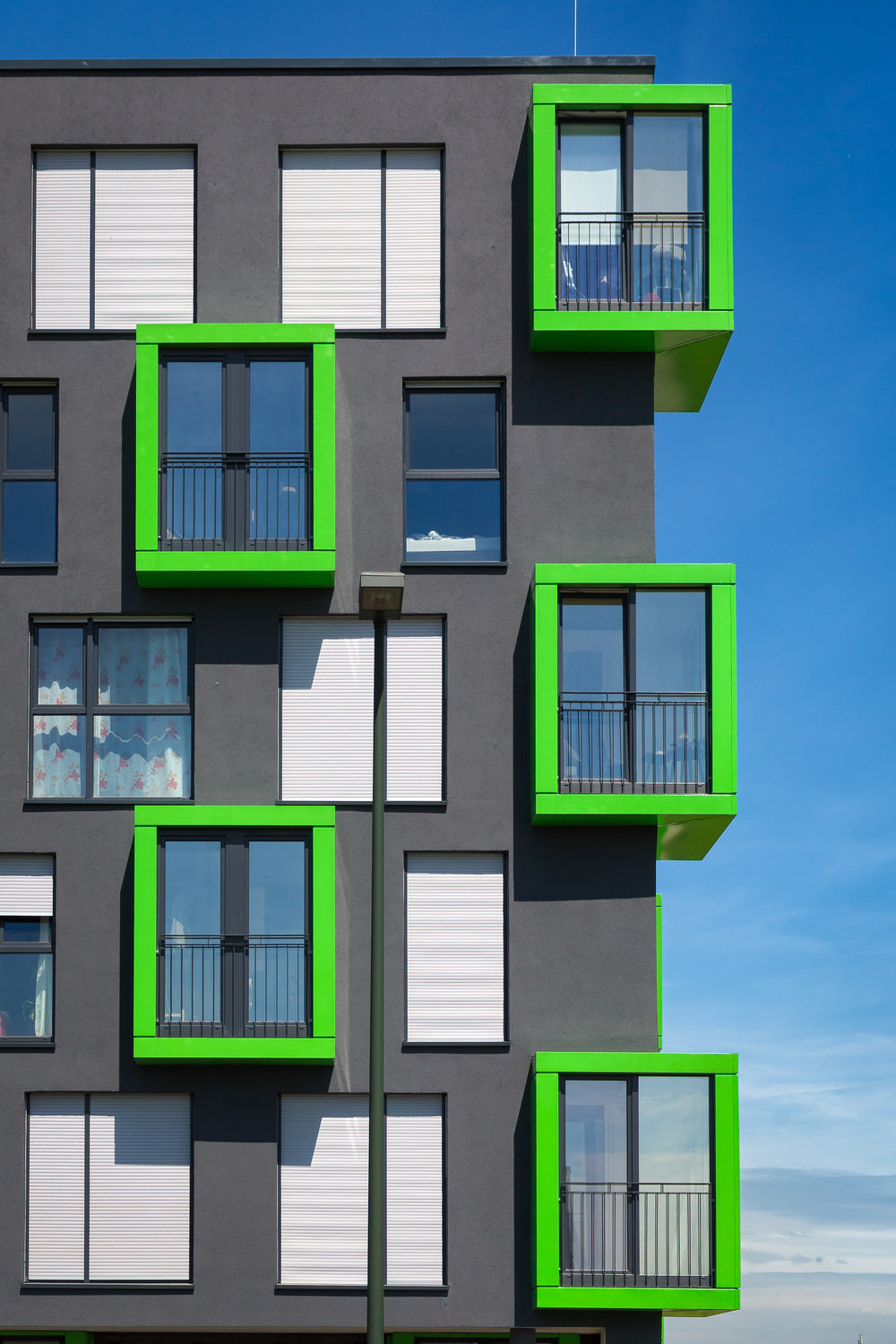 5xgreen Poster och Canvastavla