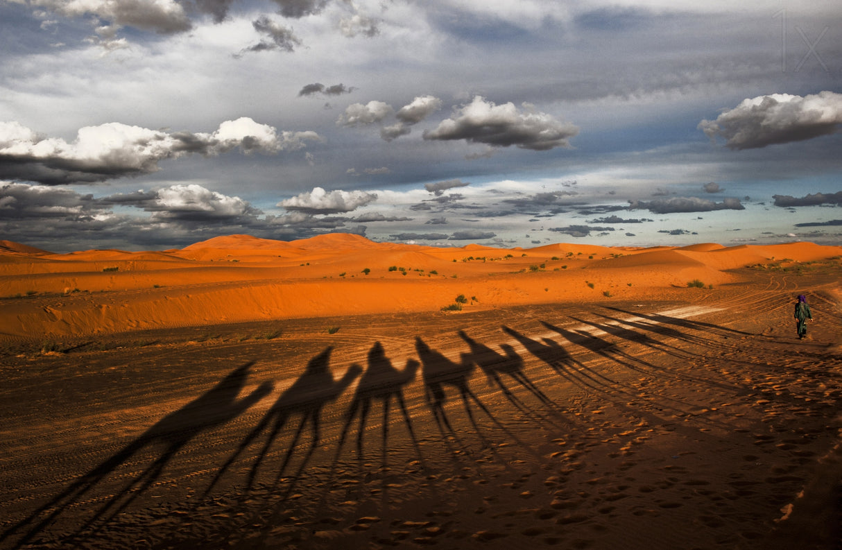 Through the dunes of Merzouga (Morocco). Poster och Canvastavla