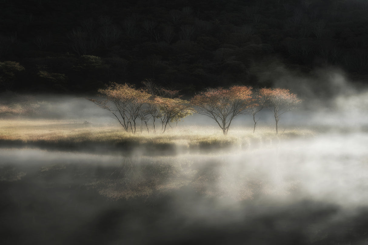 Phantom Poster och Canvastavla