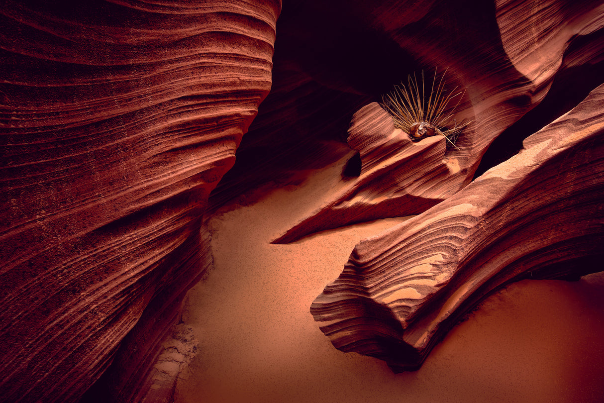 Rattlesnake Canyon Poster och Canvastavla