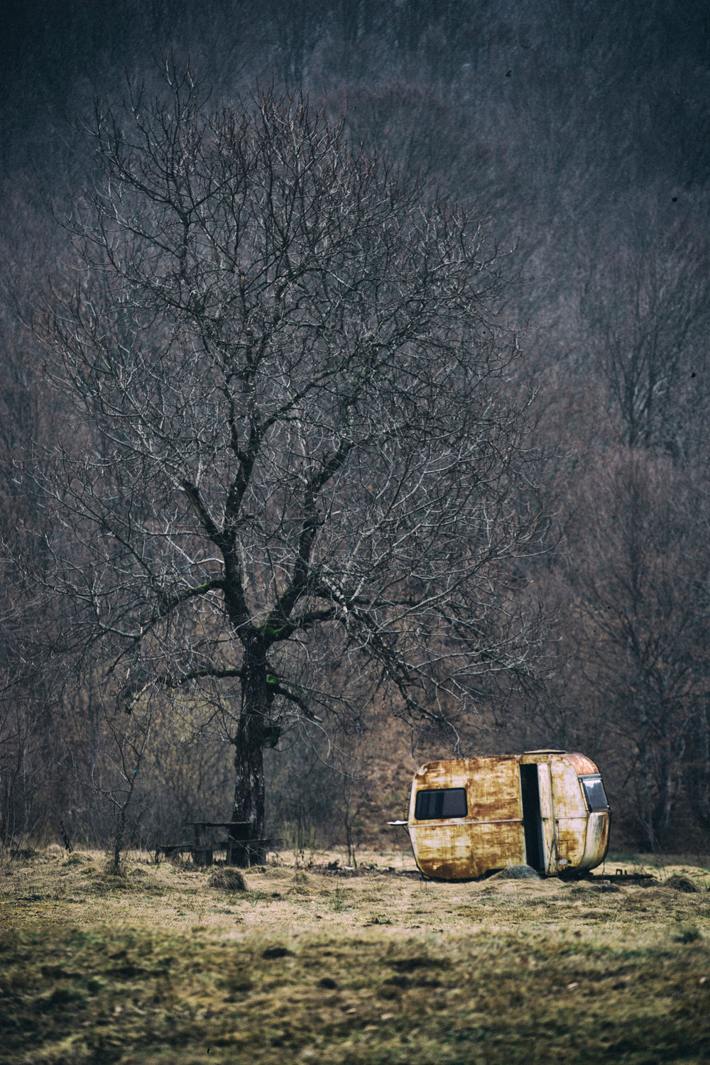 Left Alone Poster och Canvastavla