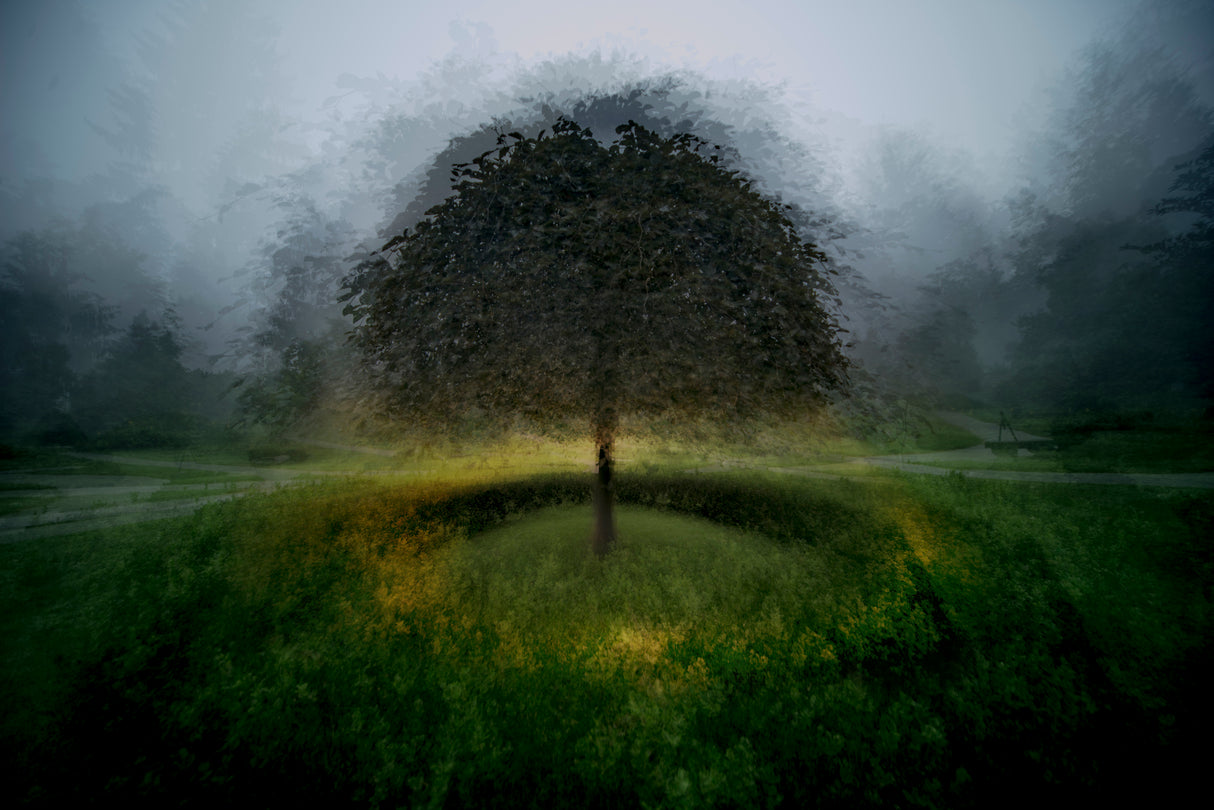 Eden place Poster och Canvastavla