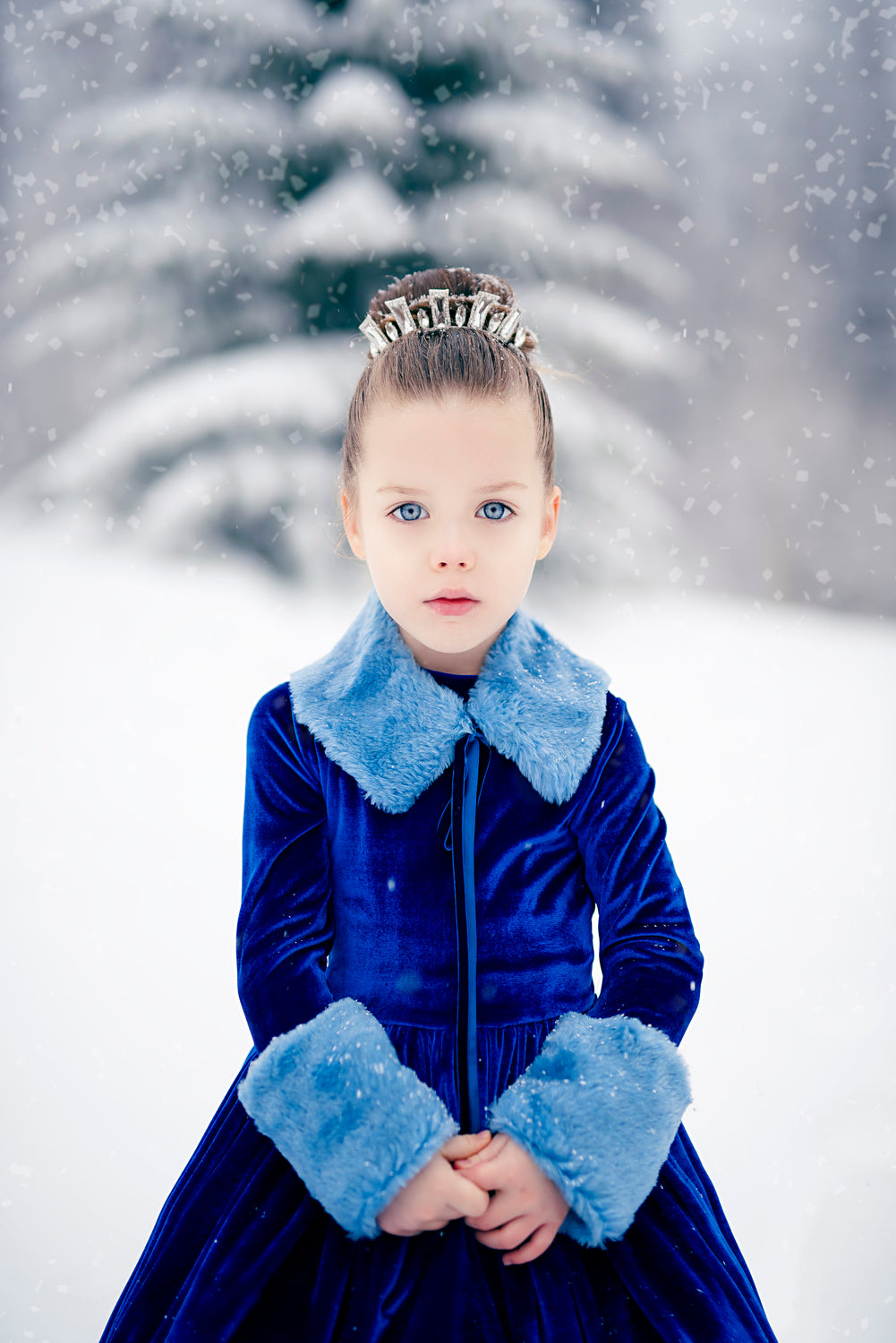 Princess Ema Poster och Canvastavla