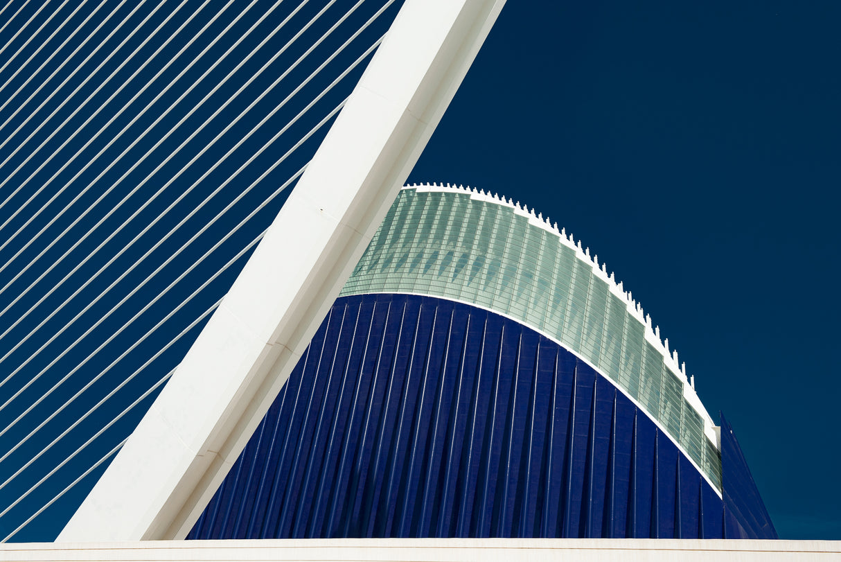 The harp Poster och Canvastavla