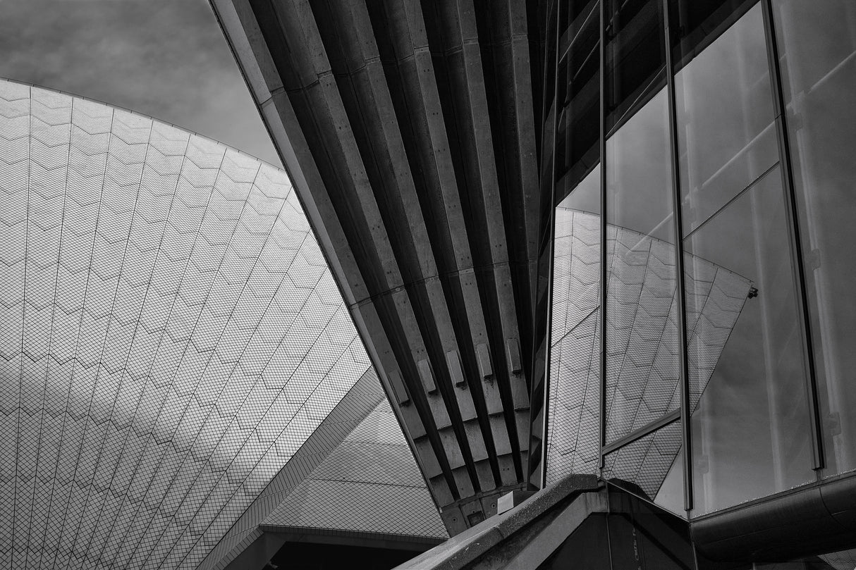 Sydney Opera Poster och Canvastavla
