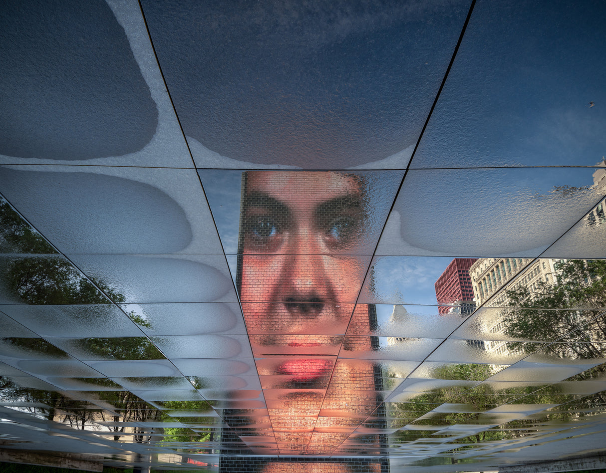 The face Poster och Canvastavla