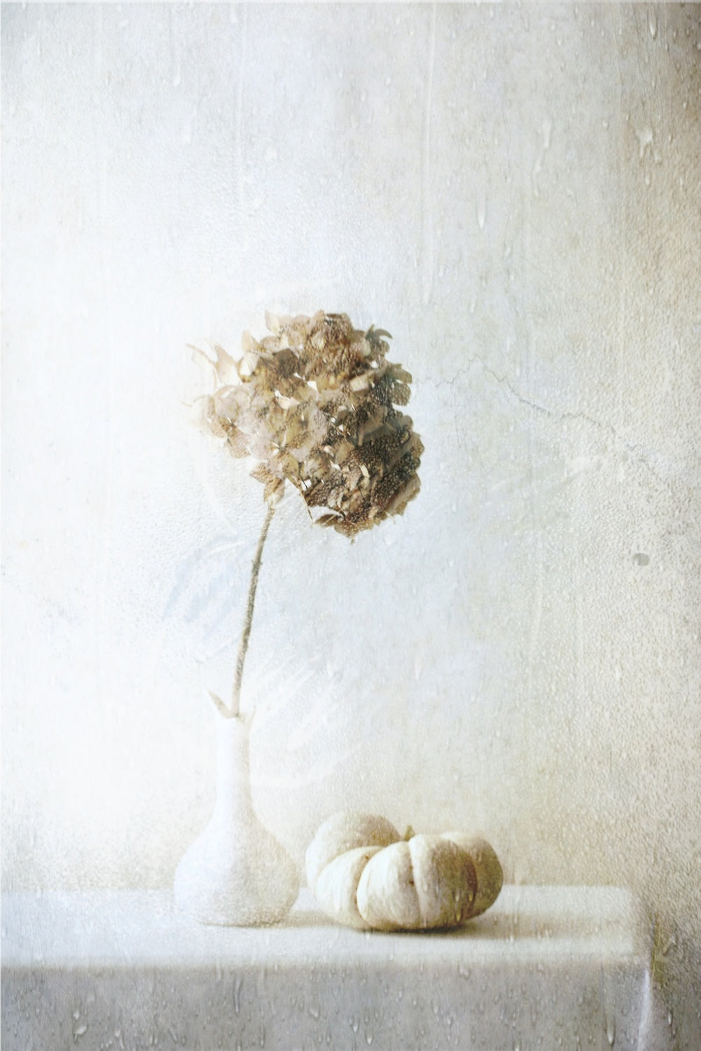 Autumn Feelings Poster och Canvastavla