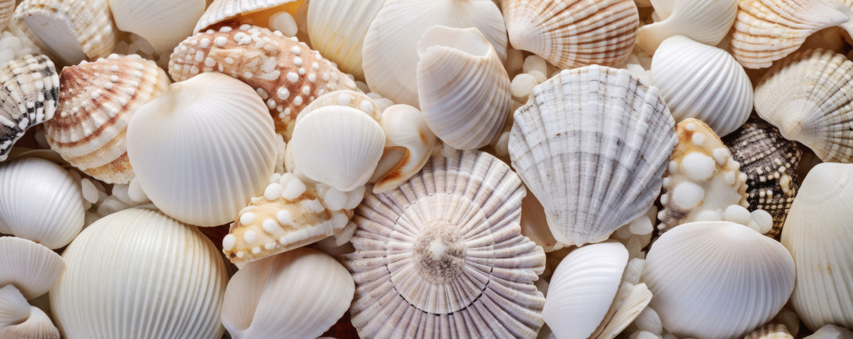 Beach Impressions No 26 Poster och Canvastavla