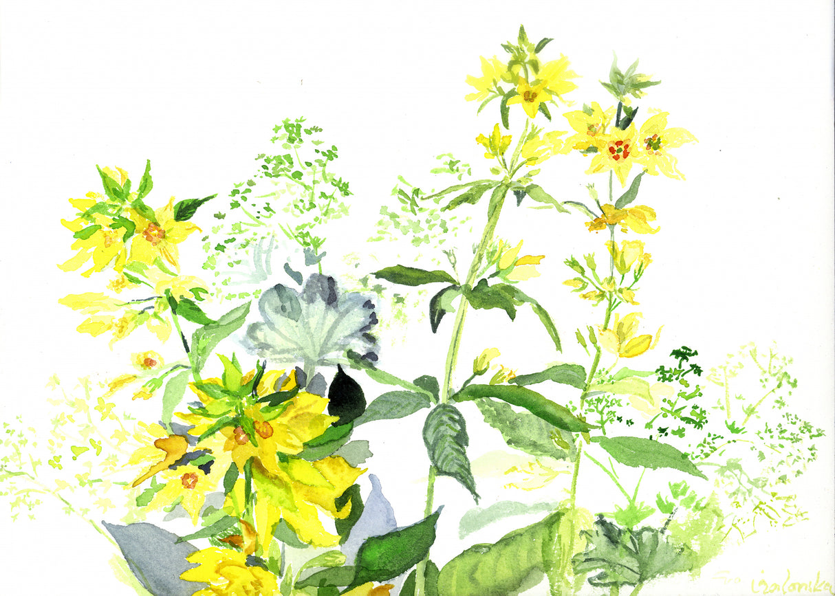 Wildblumen Aus Dem Erzgebirge Poster och Canvastavla