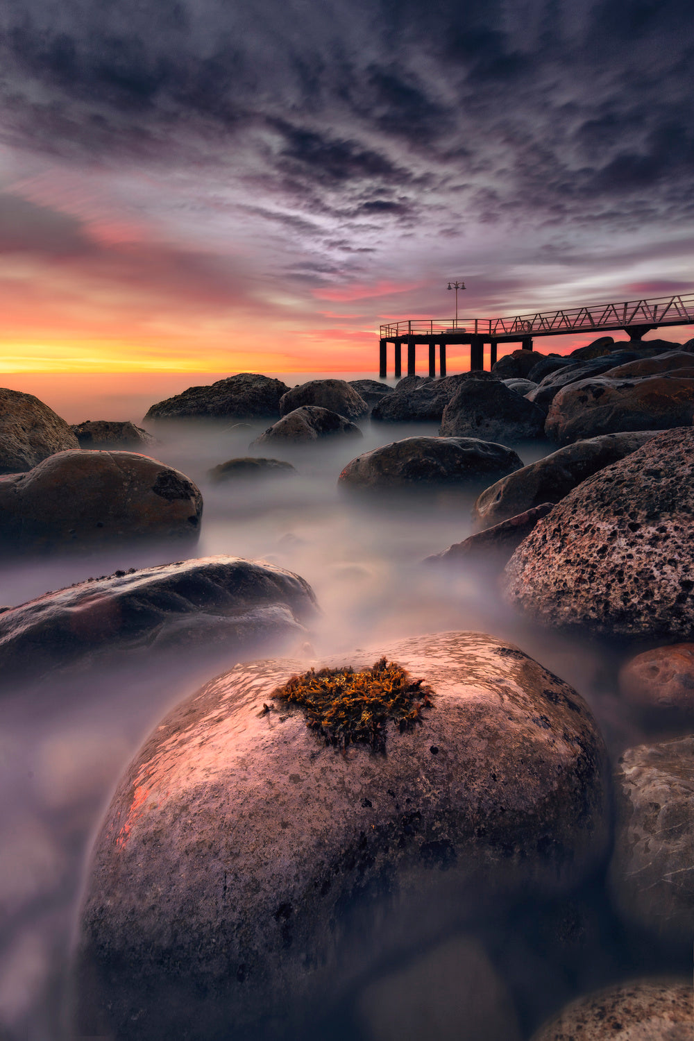 The survivor Poster och Canvastavla