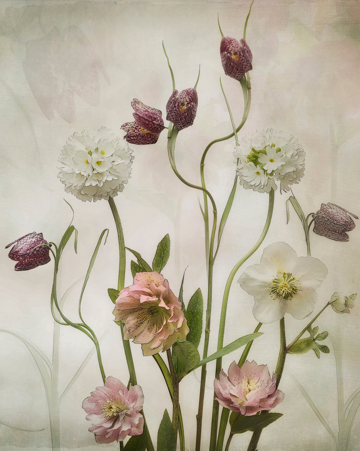 Spring Garden Poster och Canvastavla