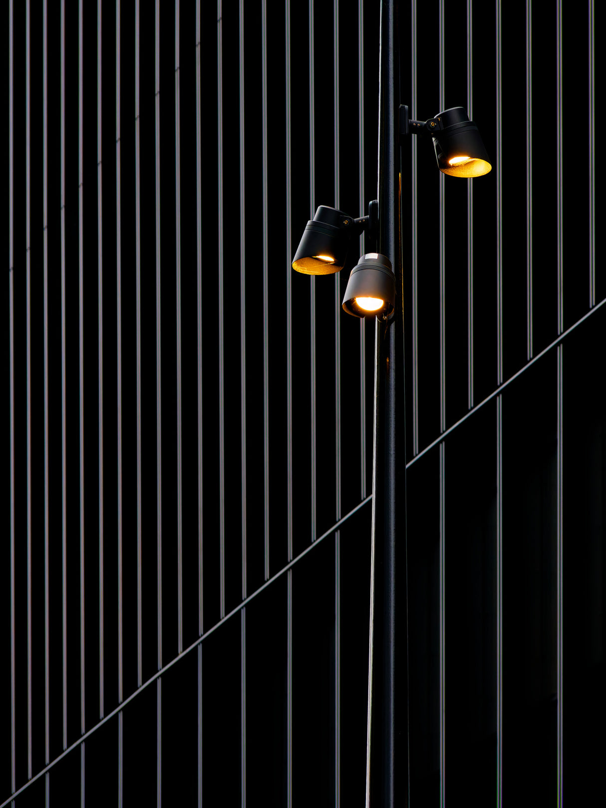 blending in Poster och Canvastavla
