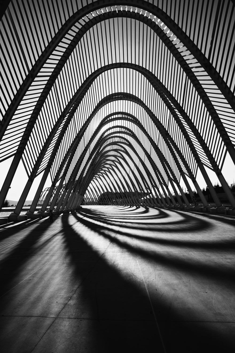 Calatrava Constraction #02 Poster och Canvastavla