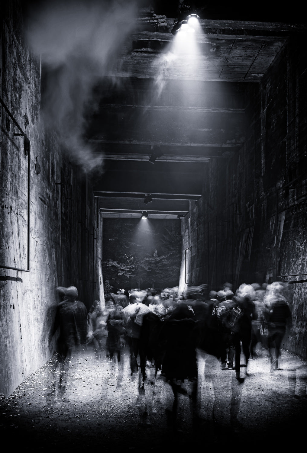 Claustrophobia Poster och Canvastavla