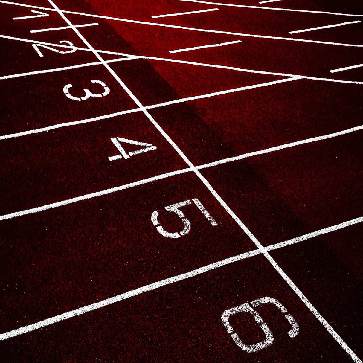 startgrid Poster och Canvastavla