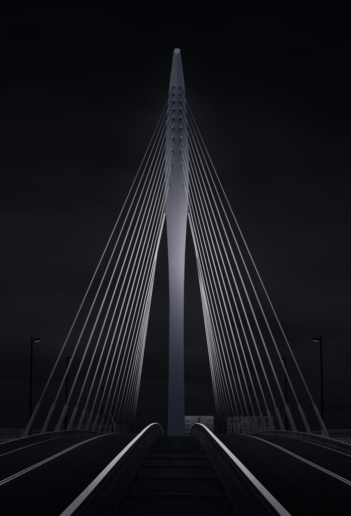 The Prince Claus Bridge in the Netherlands Poster och Canvastavla