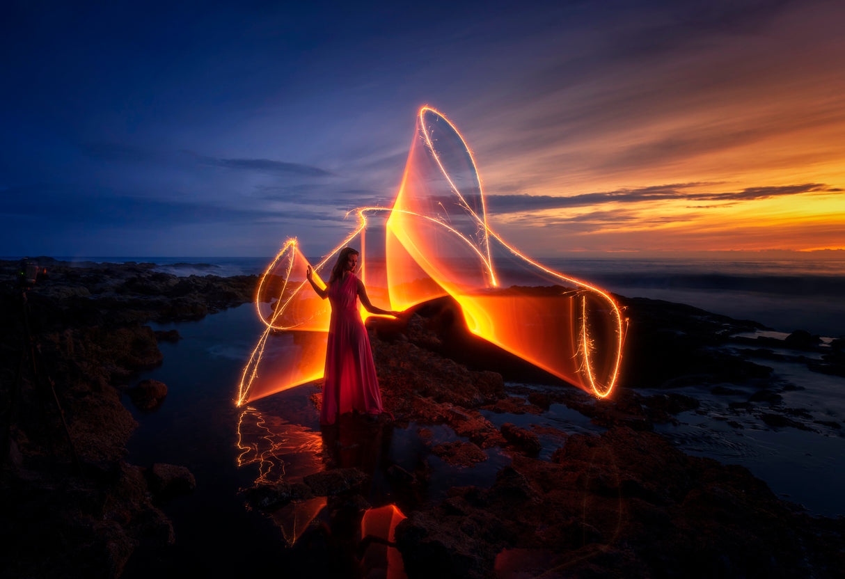 The Light Dance Poster och Canvastavla