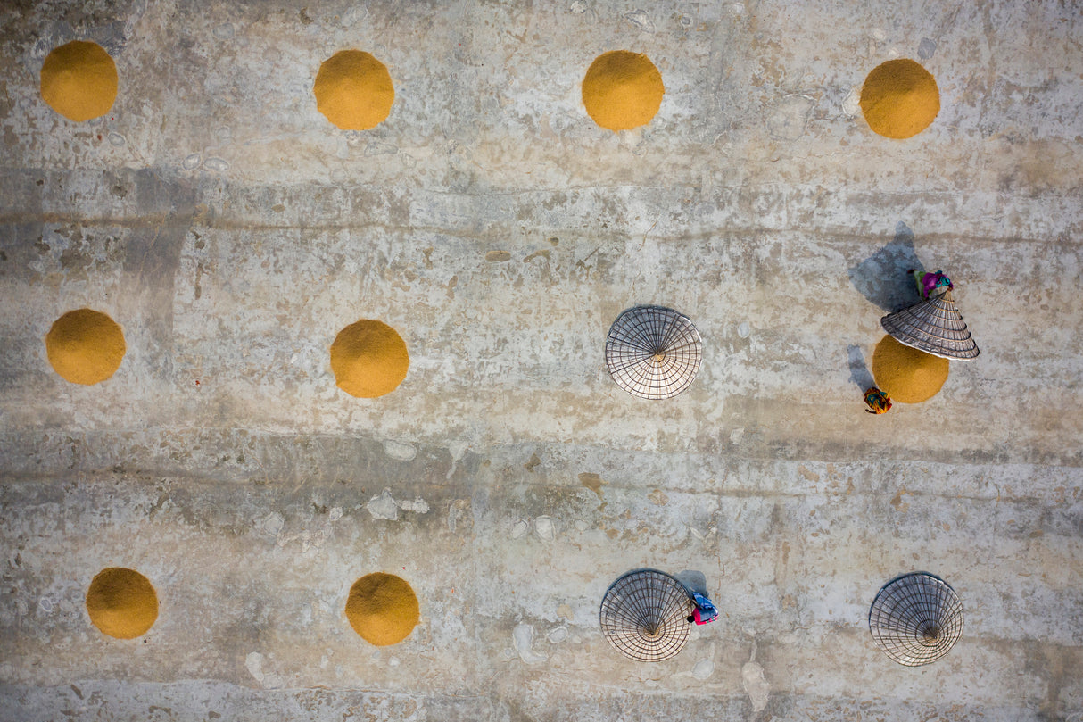 Rice drying Poster och Canvastavla