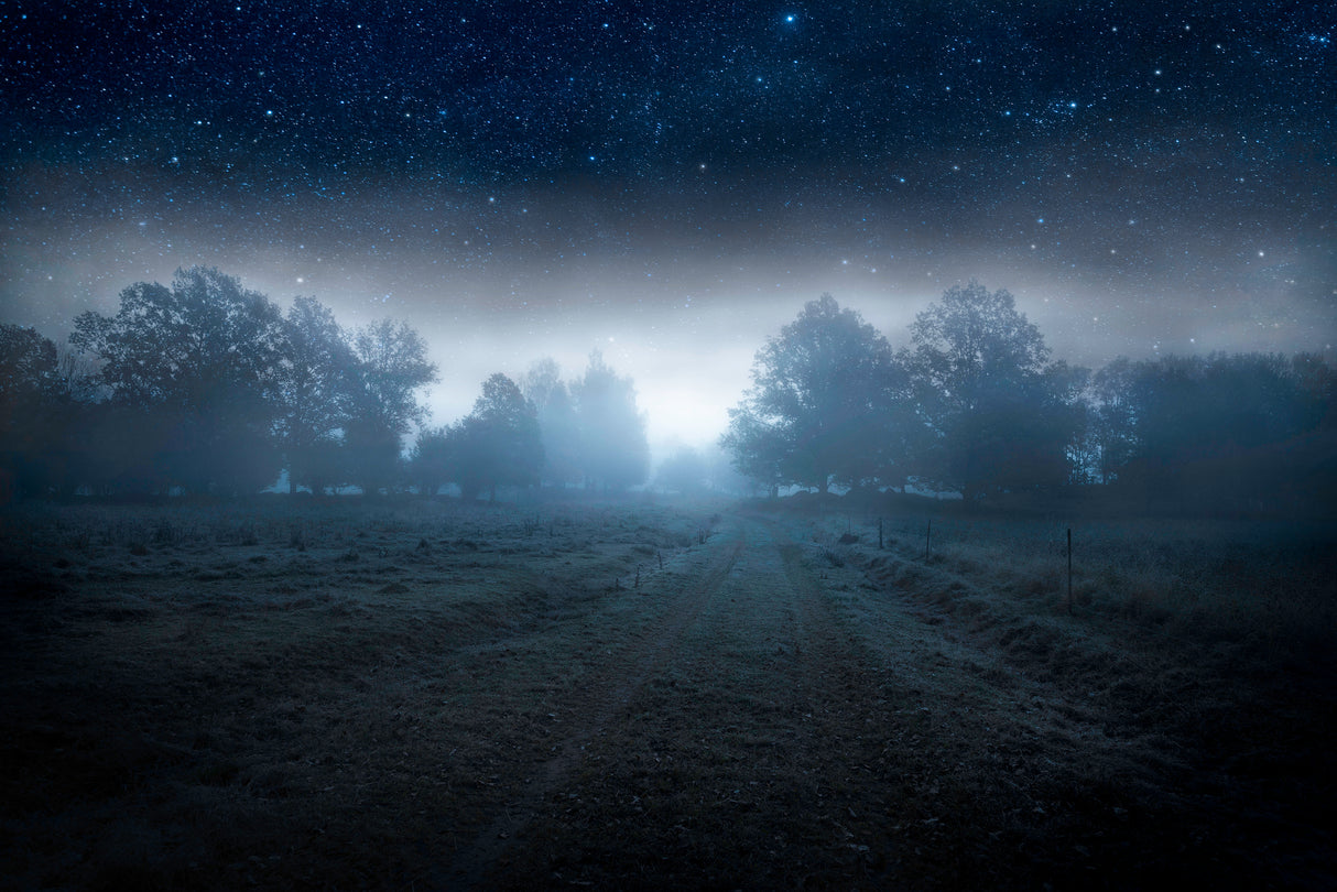 Visions of the night Poster och Canvastavla