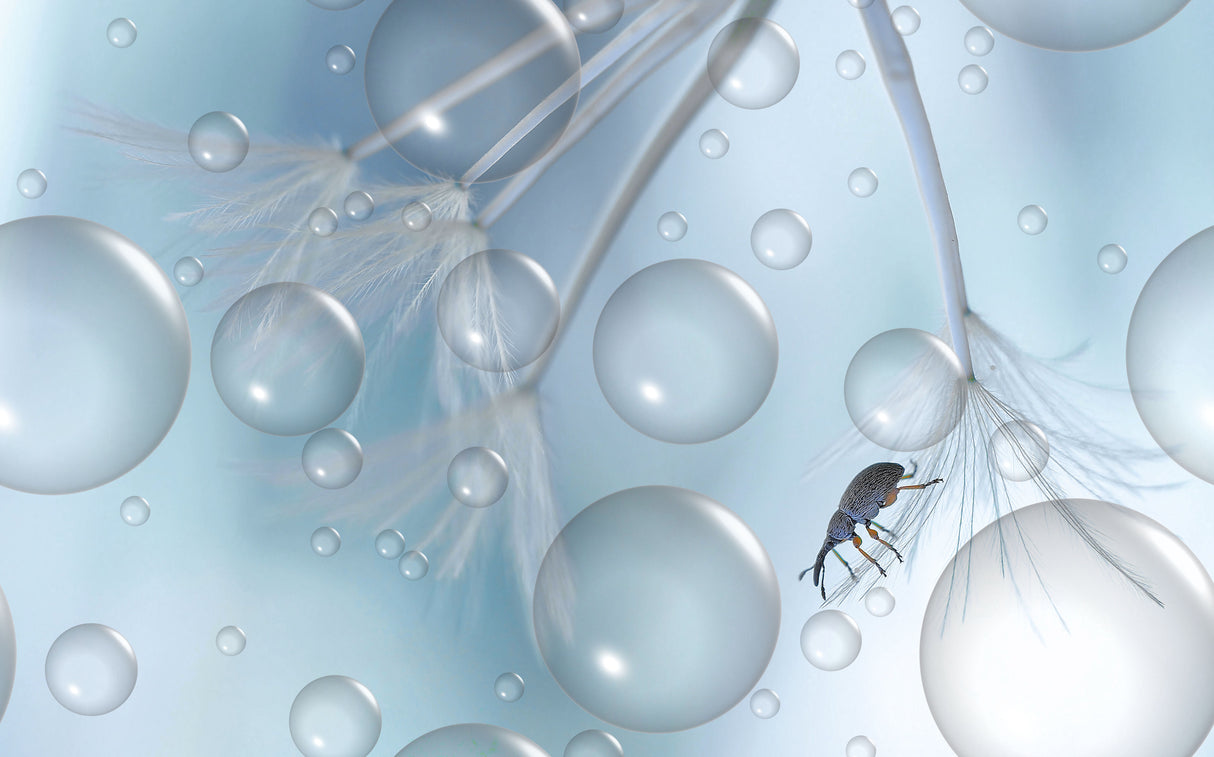 In a world of bubbles... Poster och Canvastavla