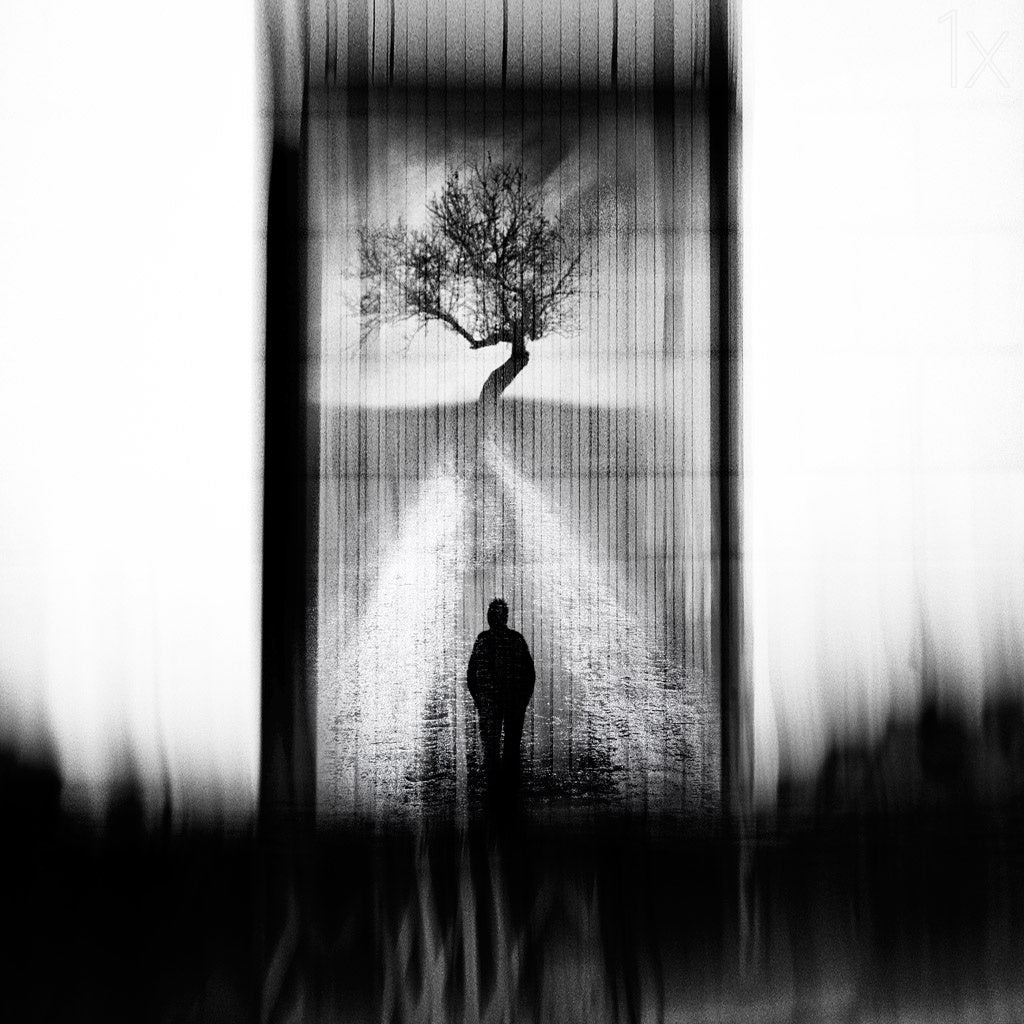 lost in dreams Poster och Canvastavla