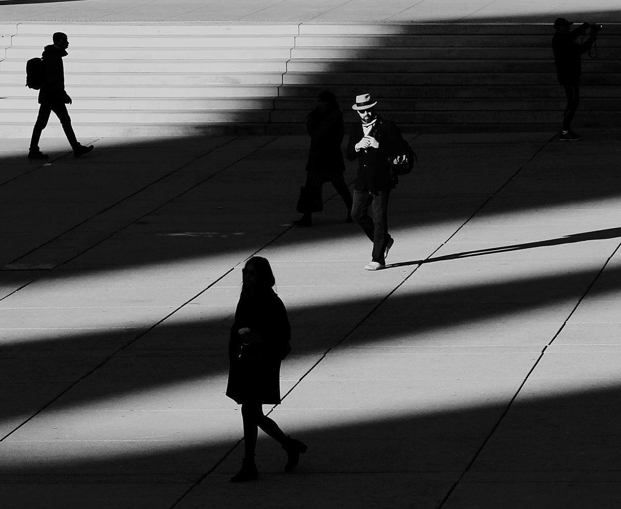Light and shadows Poster och Canvastavla