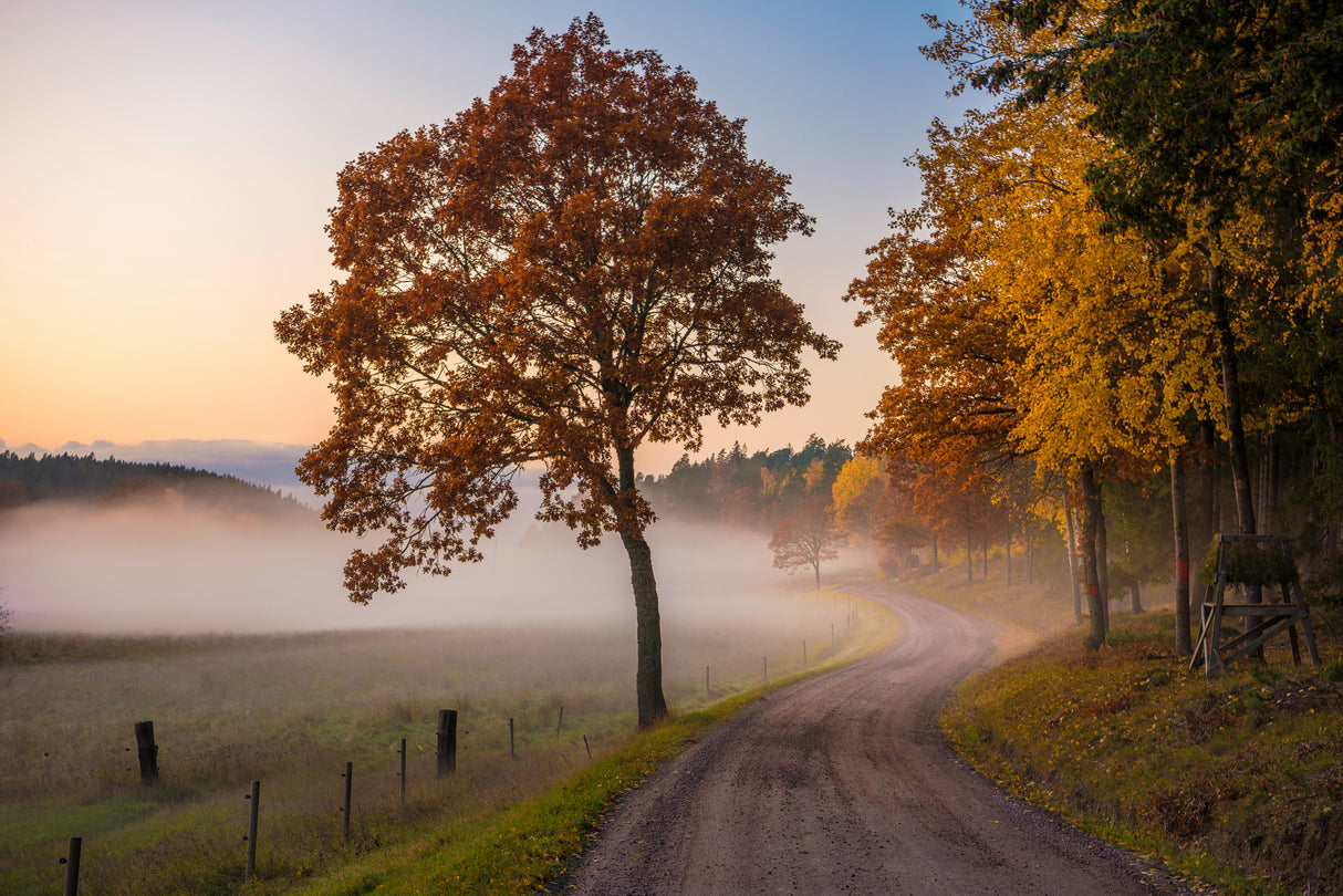 Countryside vibes Poster och Canvastavla